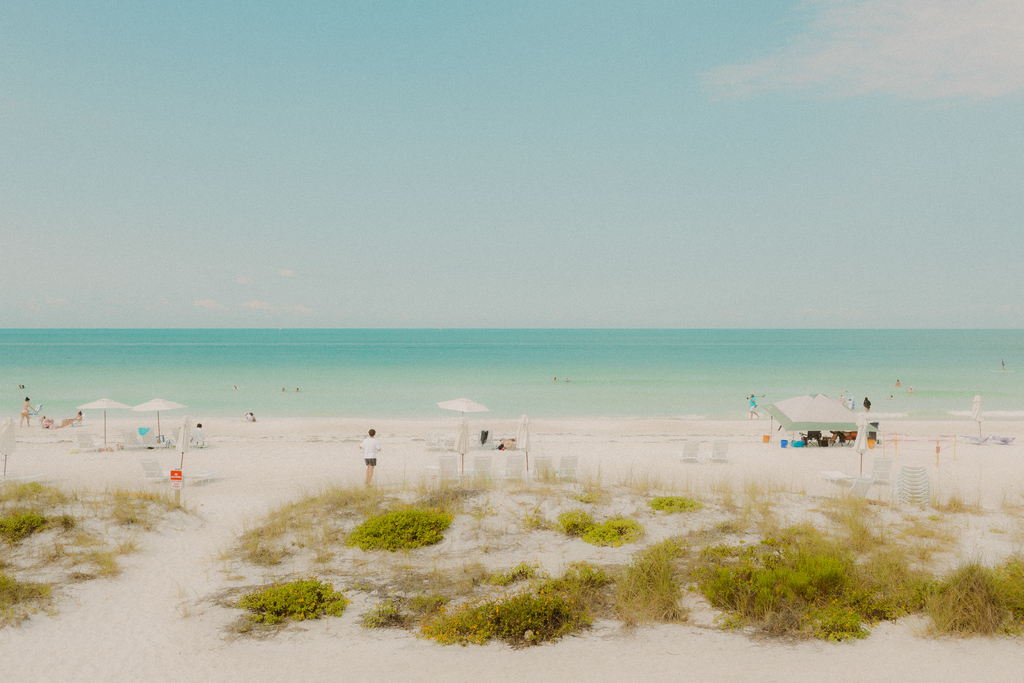 Temperatures In Tampa Have Never Hit 100°, But Could Next Week - photo from the beach off the gulf of mexico